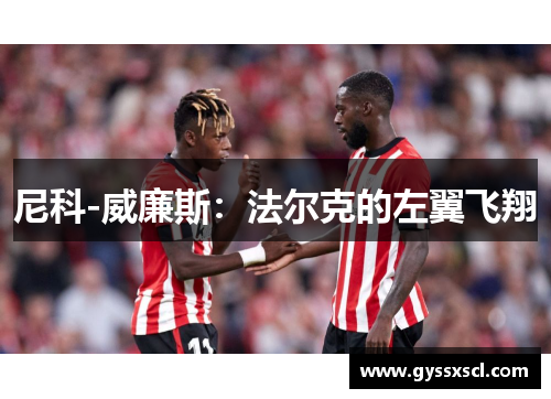 尼科-威廉斯：法尔克的左翼飞翔