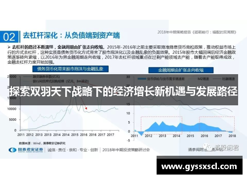 探索双羽天下战略下的经济增长新机遇与发展路径