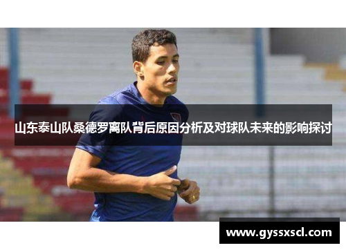 山东泰山队桑德罗离队背后原因分析及对球队未来的影响探讨