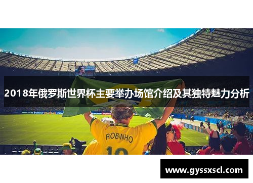 2018年俄罗斯世界杯主要举办场馆介绍及其独特魅力分析