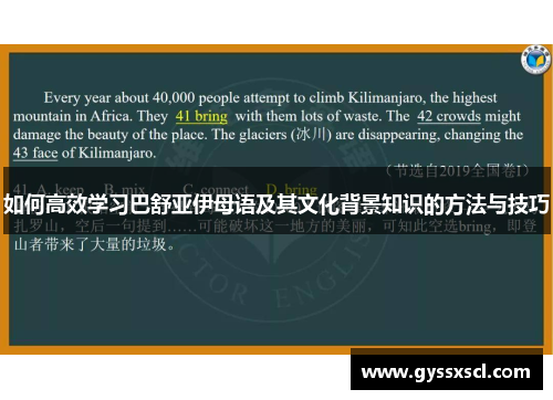 如何高效学习巴舒亚伊母语及其文化背景知识的方法与技巧