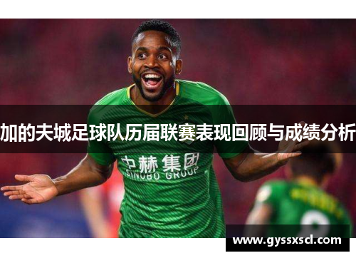 加的夫城足球队历届联赛表现回顾与成绩分析
