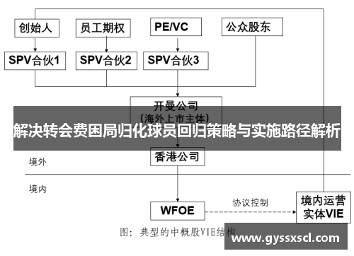 解决转会费困局归化球员回归策略与实施路径解析